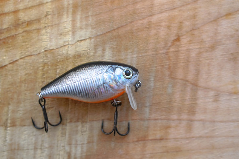 Qué es un Crankbait y para qué sirve? los mejores Crankbaits para lobina