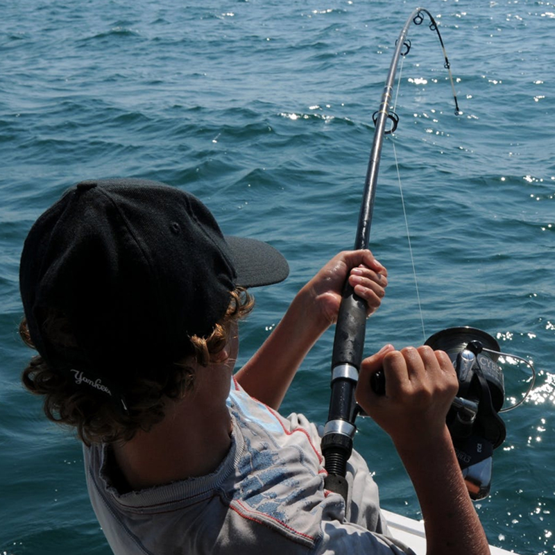 Comprar Juego de cañas de pescar Spinning caña de pescar y carrete Travle  agua dulce agua salada pesca en mar